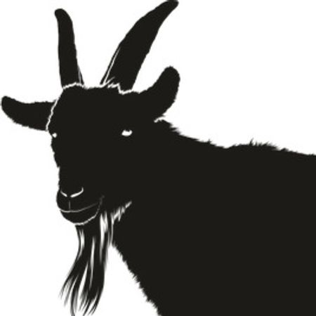 Svartget