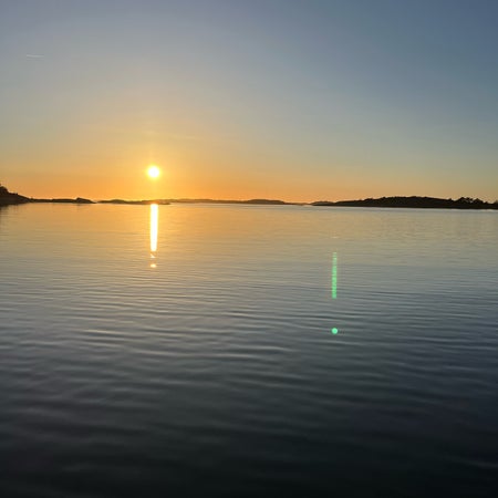 gyllingmyr