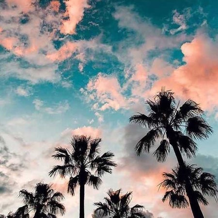 HaillenAh