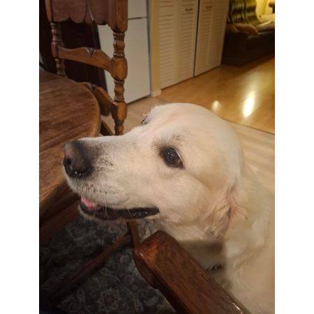 second-hand_isabellj