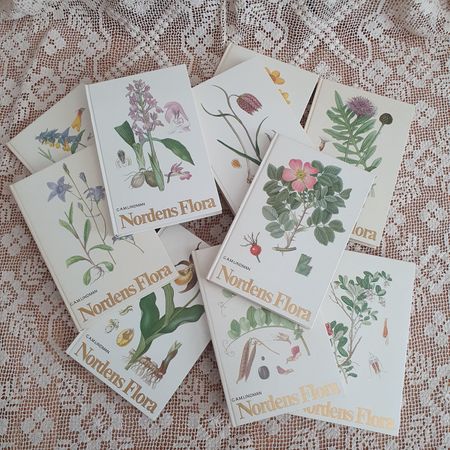 Mångabäckarsmåsmå