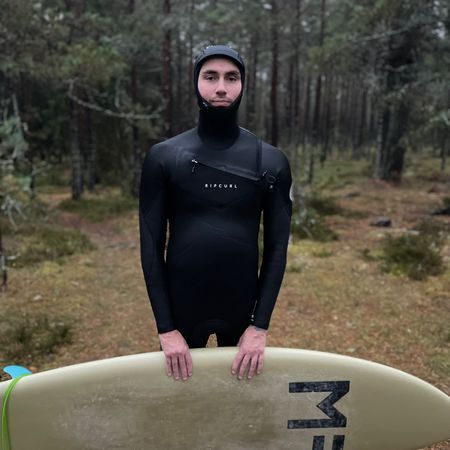 Palmbladen