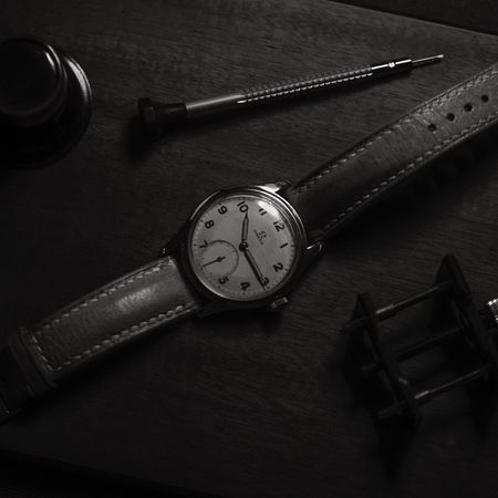 Alex8810