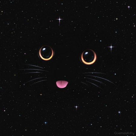 IntergalacticSpaceCat