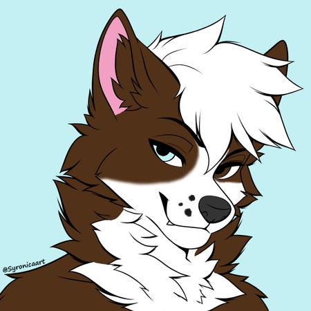 KaelBarks