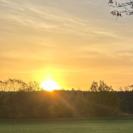 Morgonsolens