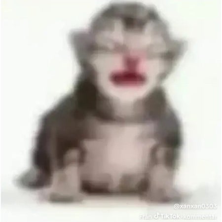 itshelena