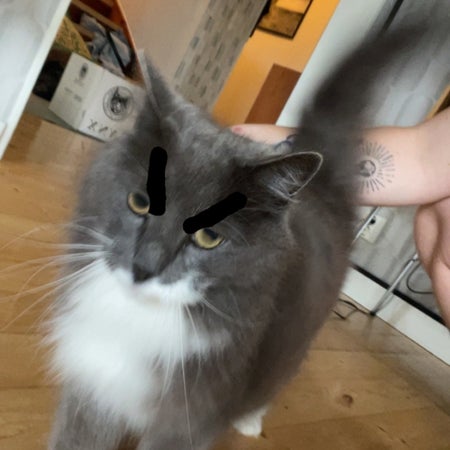 BillyDagh