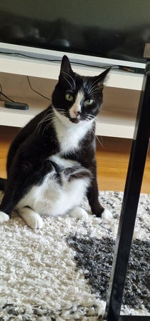 Coffes22