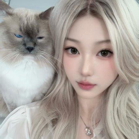 eiffelkim