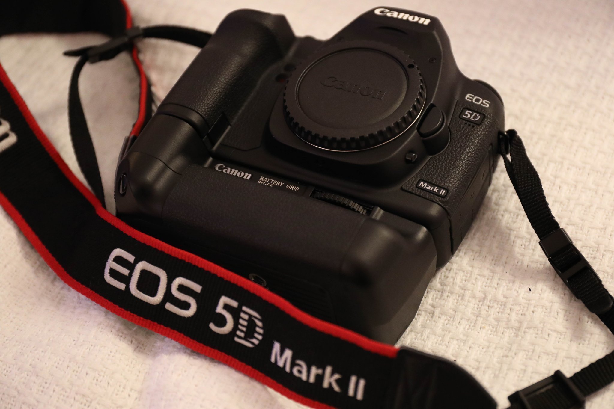 canon 5d shutter count canon 5d shutter count