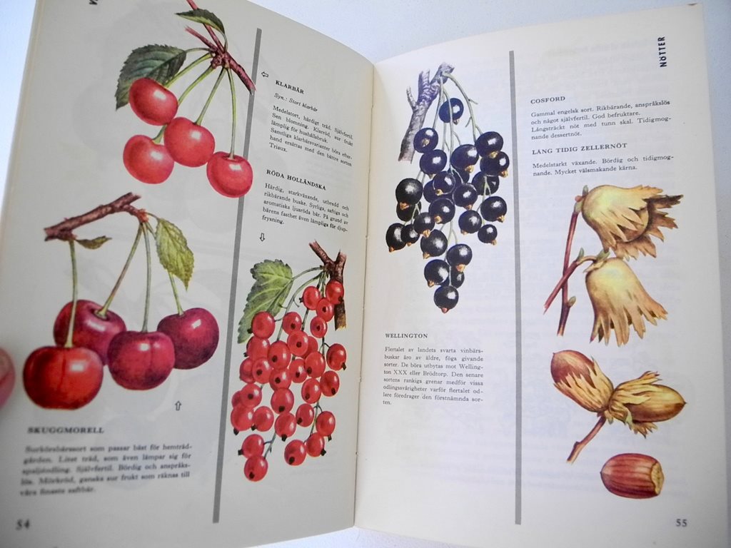 FRUKT OCH BÄR TILL HUSBEHOV Gust. Gust. Gust. Rud. Ferlenius + FRUKTTRÄDGÅRDEN Sven Grön cb02f0 FRUKT OCH BÄR TILL HUSBEHOV Gust. Gust. Gust. Rud. Ferlenius + FRUKTTRÄDGÅRDEN Sven Grön cb02f0