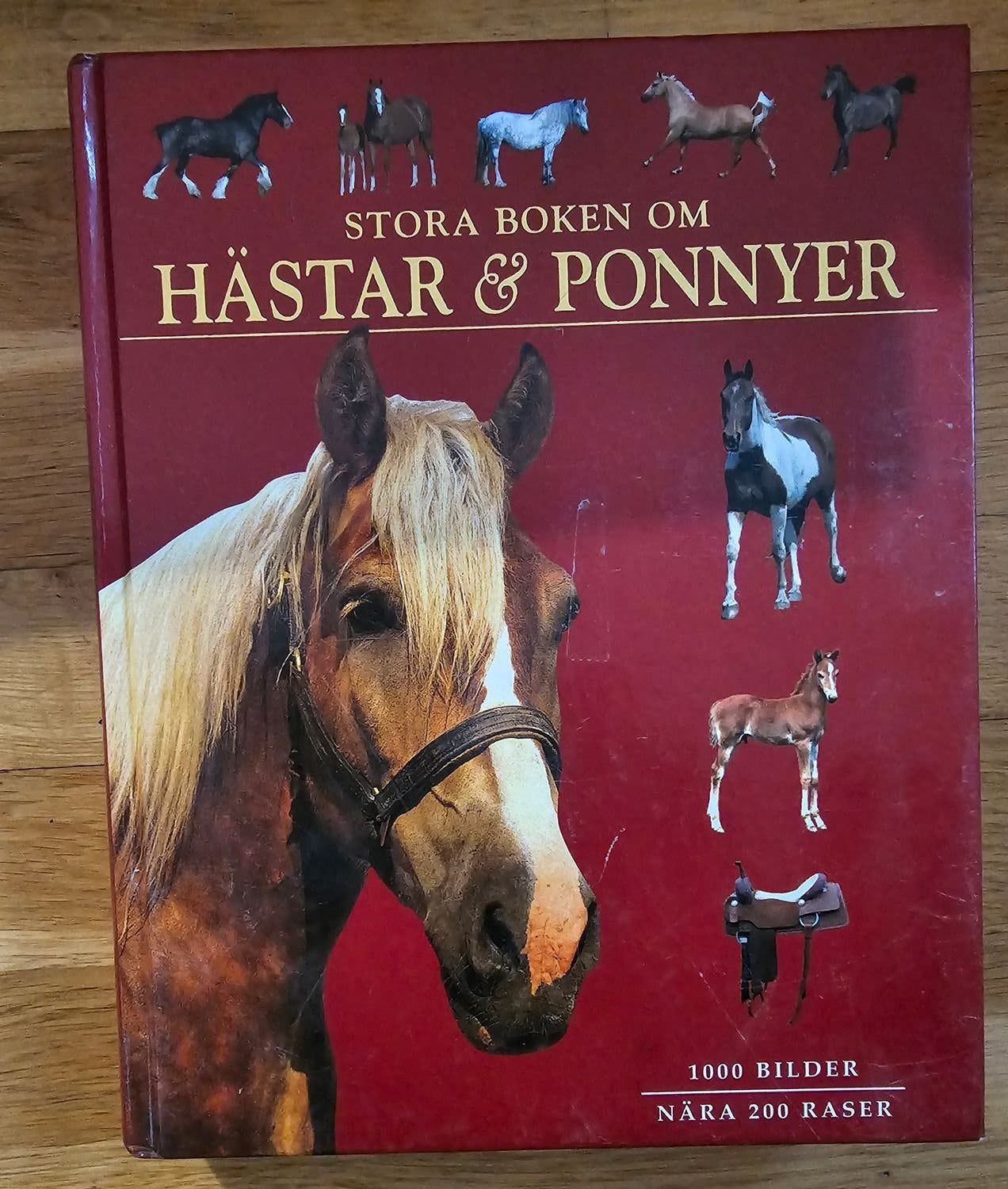 BOK. STORA BOKEN OM HÄSTAR OCH PONNYER. | Köp på Tradera (659319900)