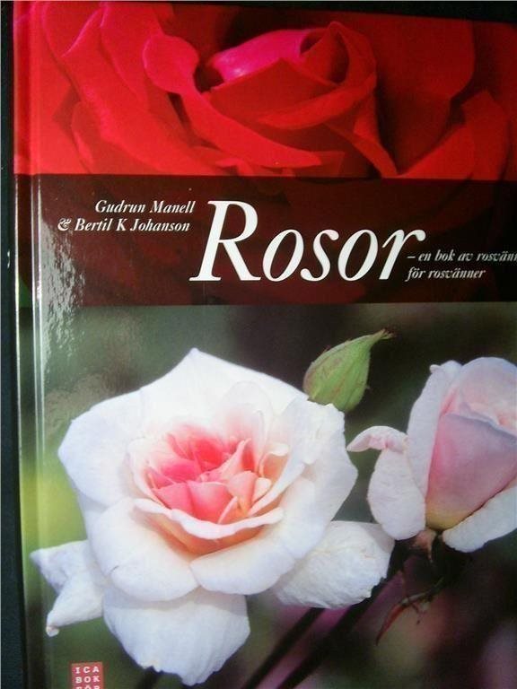 Rosor - en bok av rosvänner för rosvänner. Manell, Gudrun. Johansson, Bertil K Rosor - en bok av rosvänner för rosvänner. Manell, Manell, Manell, Gudrun. Johansson, Bertil K 391942