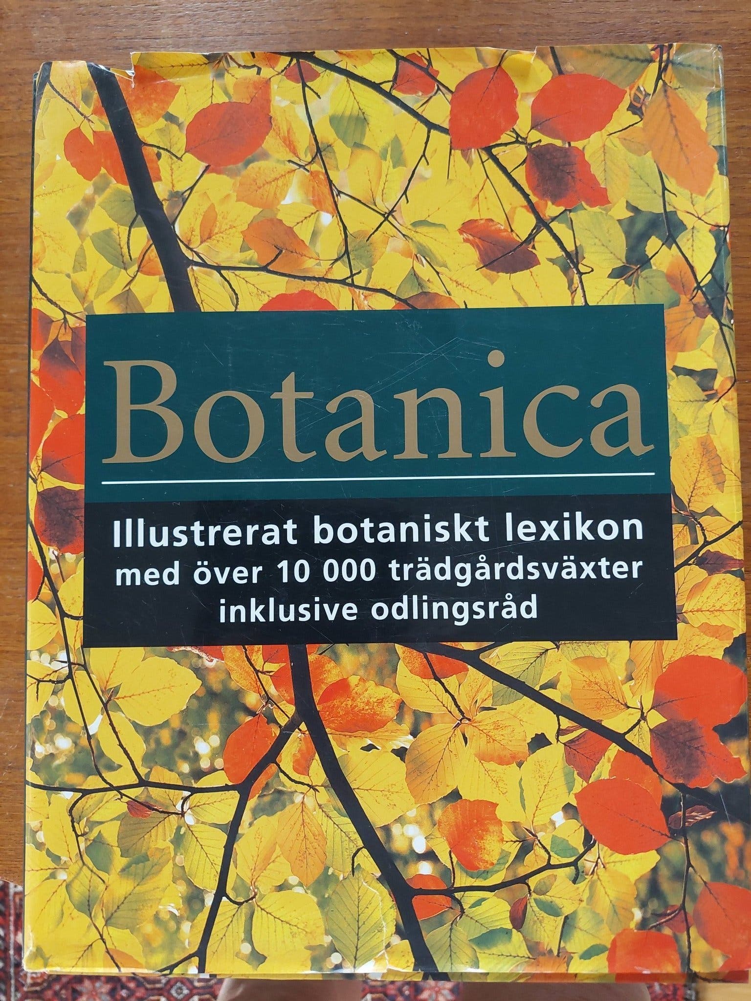 Se Produkter Som Liknar Botanica Lexikon 10 000 Tr dg P Tradera se-produkter-som-liknar-botanica-lexikon-10-000-tr-dg-p-tradera