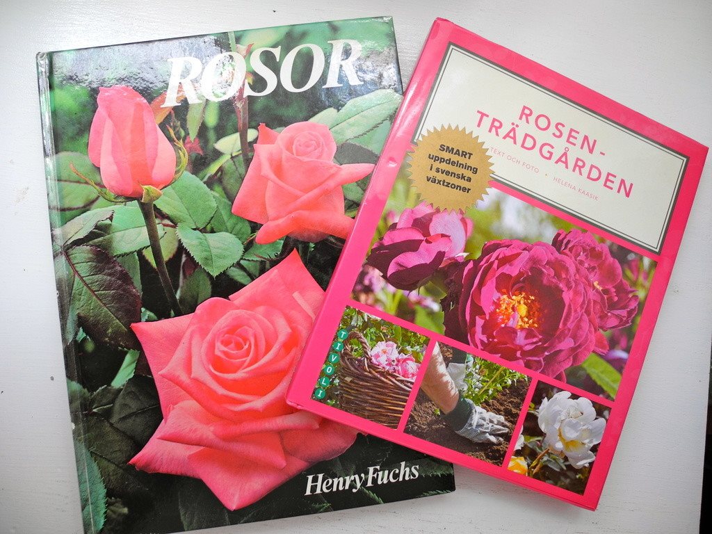 ROSOR Henry Fuchs + ROSENTRÄDGÅRDEN Helena Kaasik ROSOR Henry Fuchs + ROSENTRÄDGÅRDEN Helena Kaasik Kaasik Kaasik 09a8f3