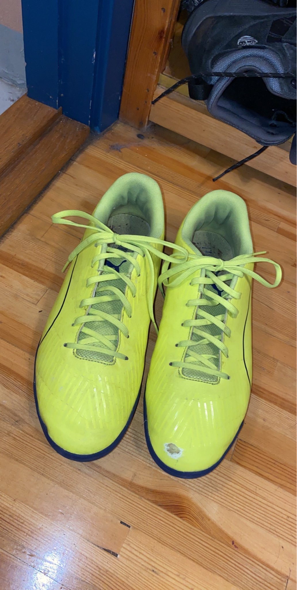 puma speedstar