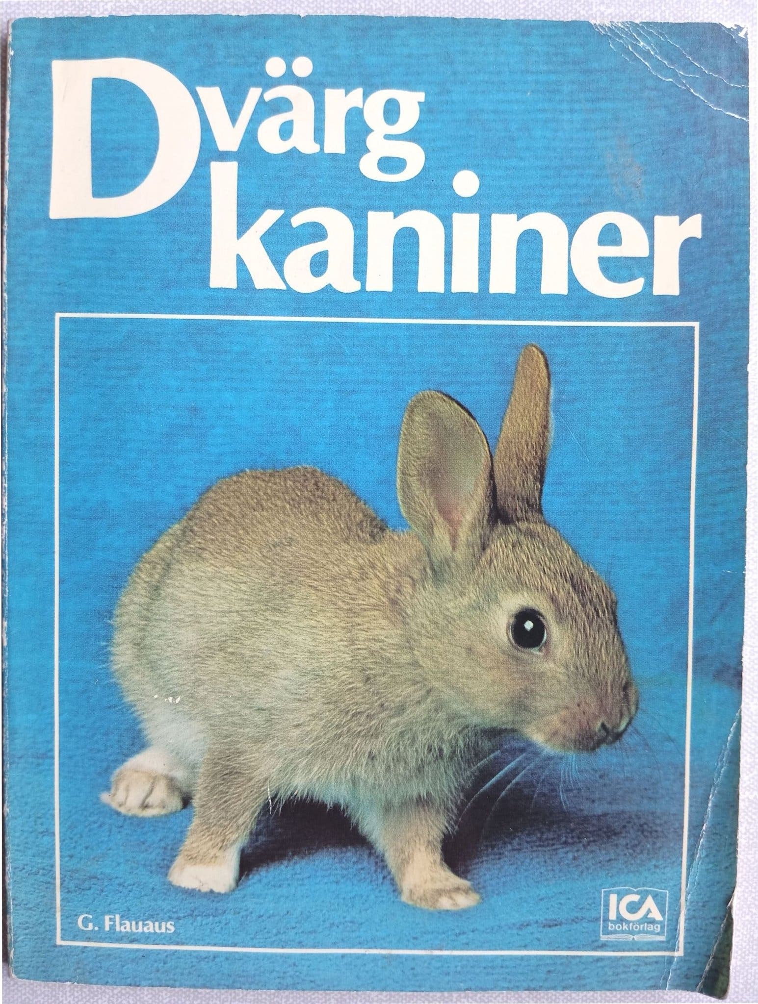Dvärgkaniner av G. Flauaus, 1980 | Köp på Tradera (758400588)