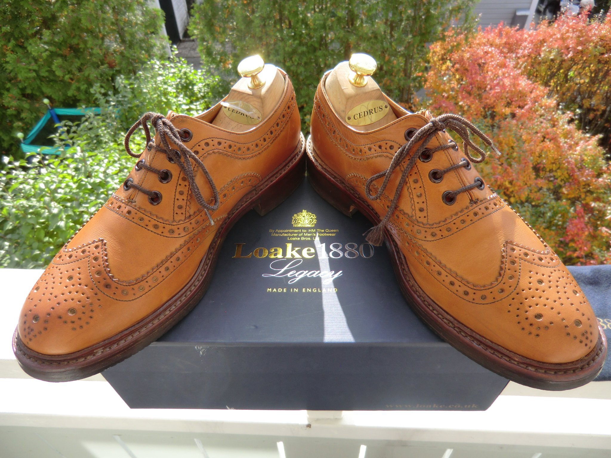 loake ashby tan