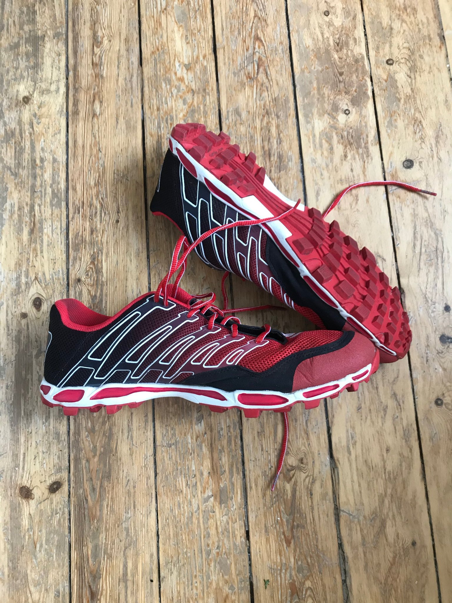 inov 8 roclite 243
