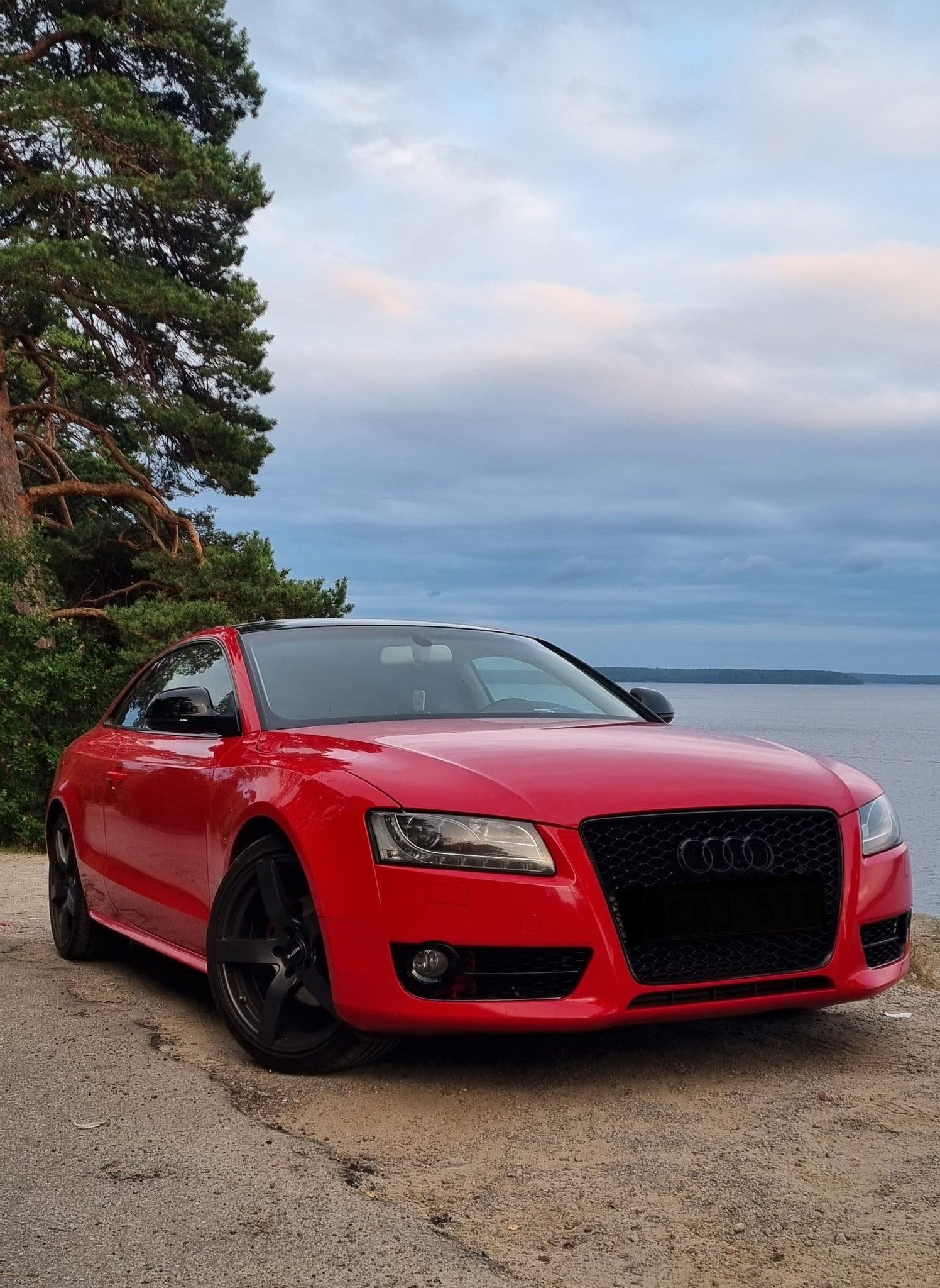 Audi A5 Coupé 2.0 TFSI  Manual, 6-trins, 180ps, 2009
