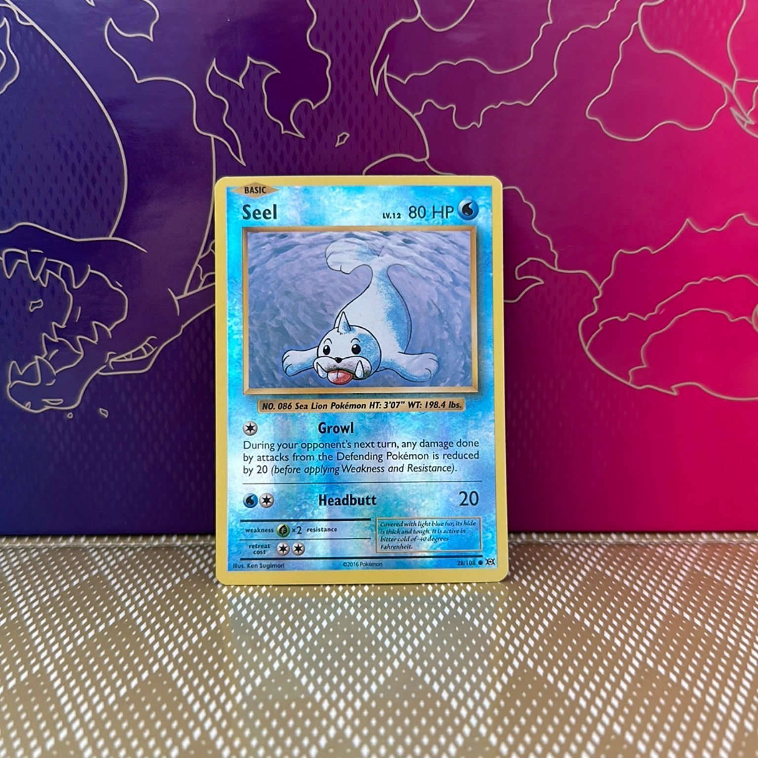 Pokémon Seel Reverse Holo XY Evolutions Köp på Tradera (600430052)