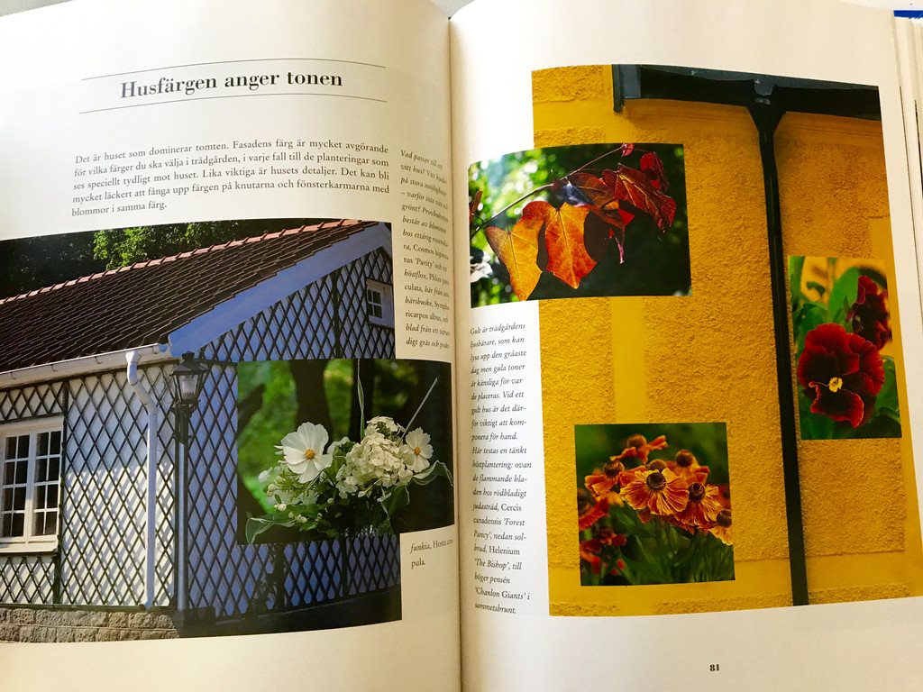 DRÖMTRÄDGÅRDEN DRÖMTRÄDGÅRDEN DRÖMTRÄDGÅRDEN SÅ BLIR DEN VERKLIGHET Lisa Winnerlid mfl 1997 9f3dc1 DRÖMTRÄDGÅRDEN DRÖMTRÄDGÅRDEN DRÖMTRÄDGÅRDEN SÅ BLIR DEN VERKLIGHET Lisa Winnerlid mfl 1997 9f3dc1