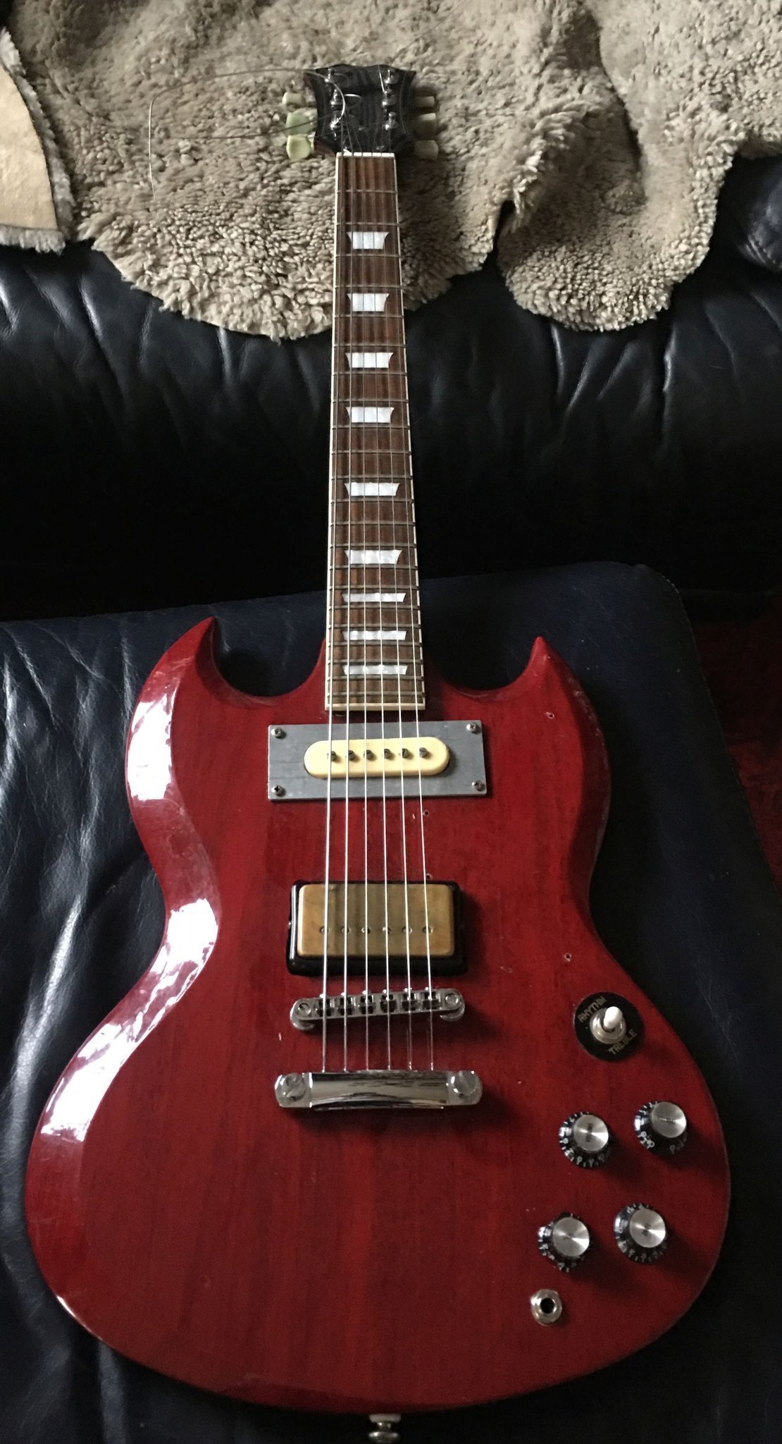 fenix sg