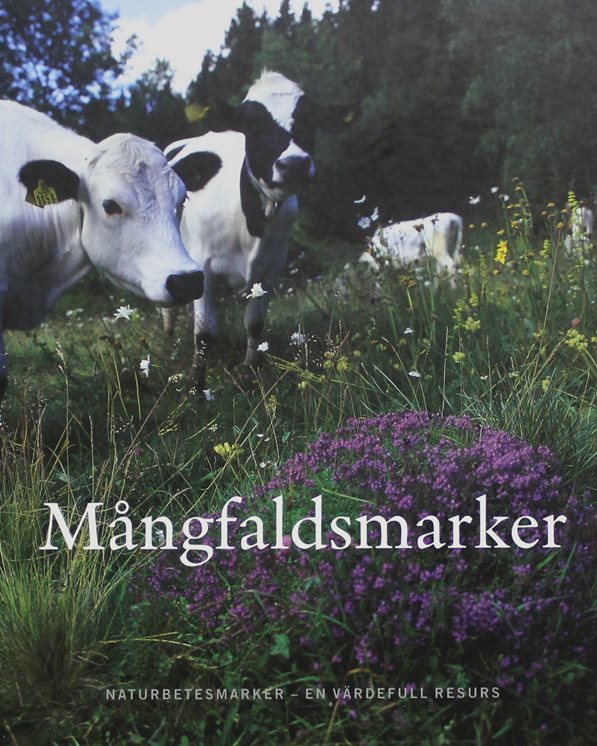Mångfaldsmarker Naturbetesmarker, Roger Roger Roger Olsson 8496e6 Mångfaldsmarker Naturbetesmarker, Roger Roger Roger Olsson 8496e6