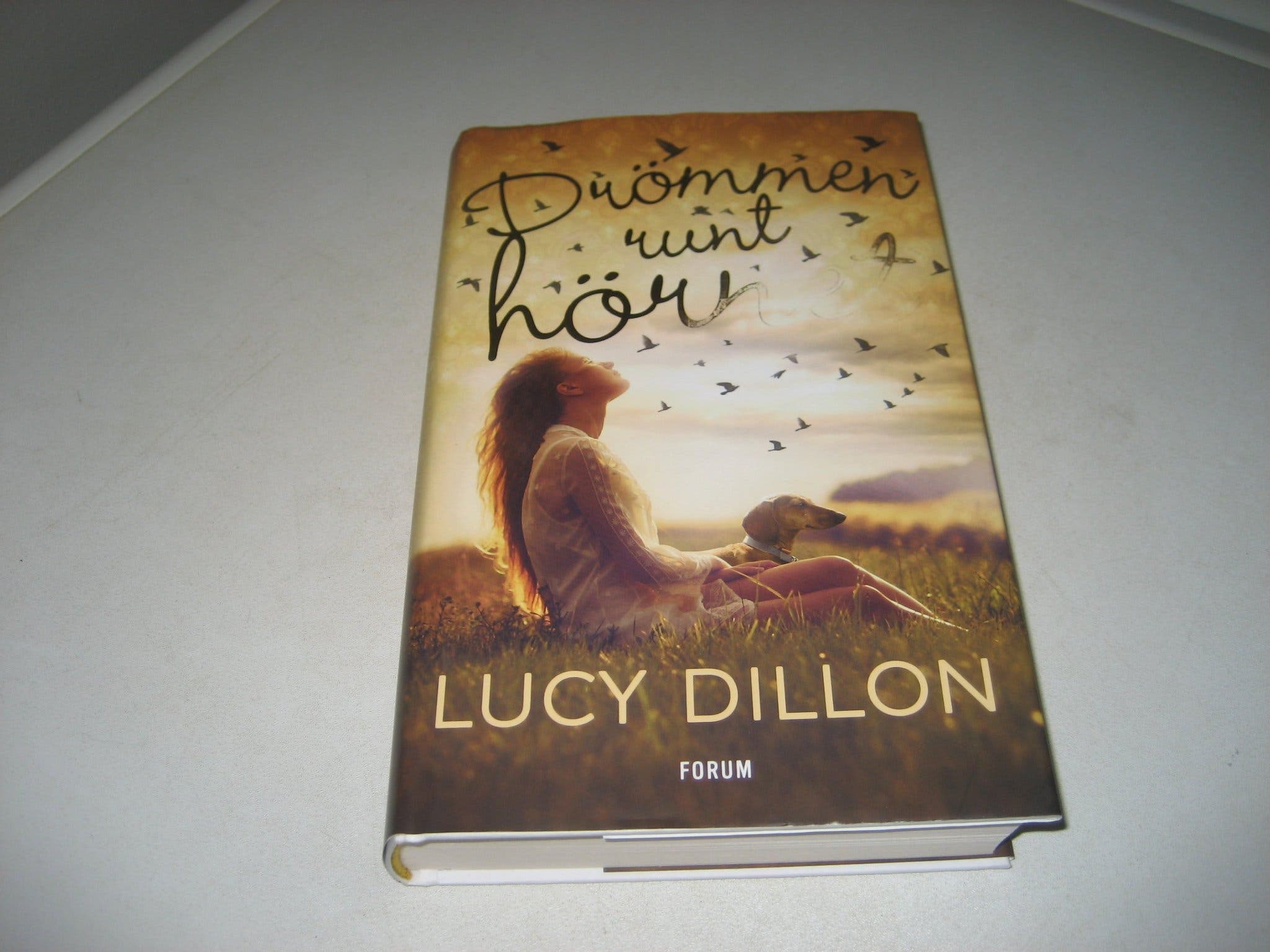Drömmen runt hörnet av Lucy Dillon / Inbunden | Köp på Tradera (703775118)