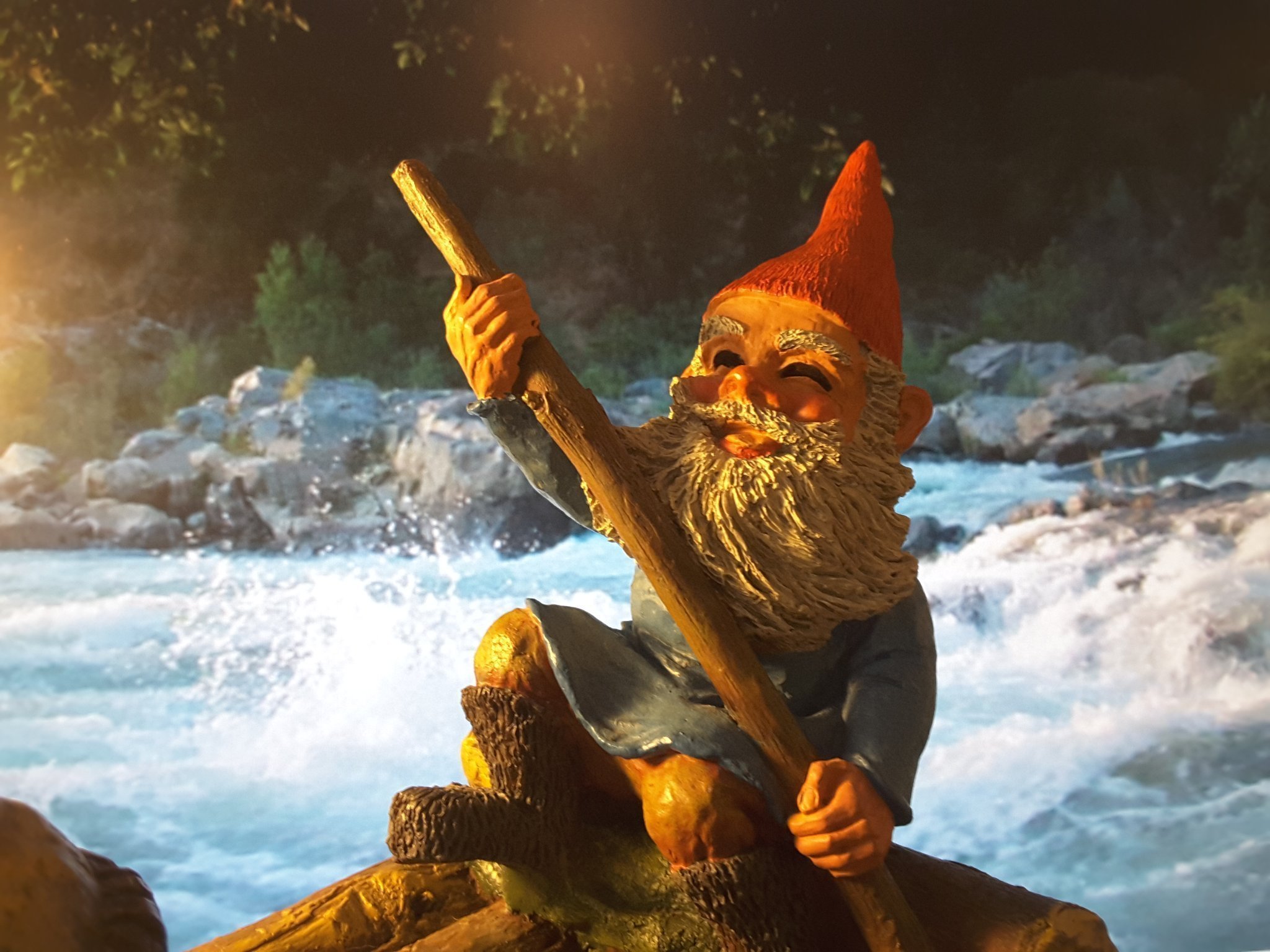 rien poortvliet gnomes book rien poortvliet gnomes book