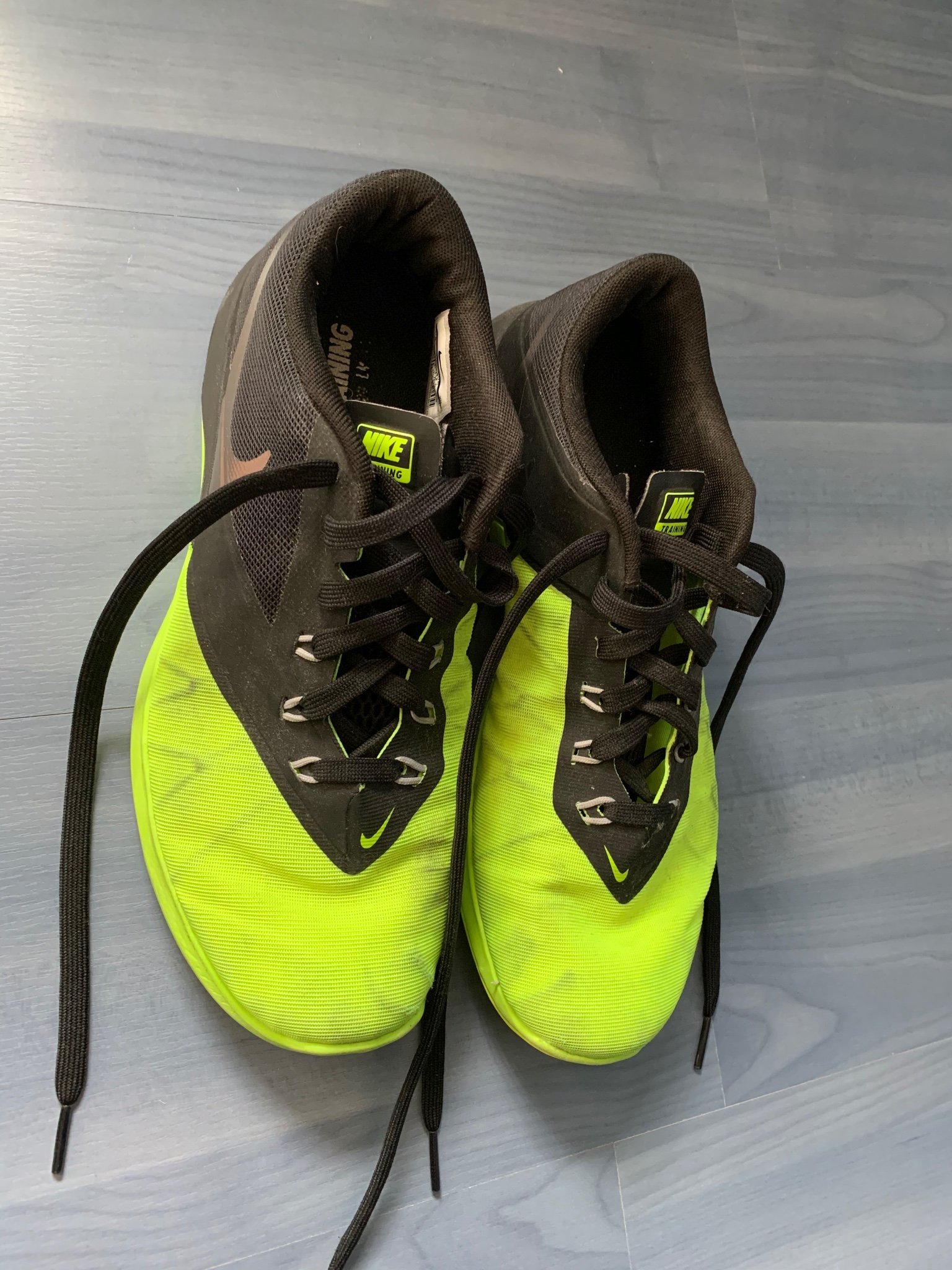 fs lite trainer