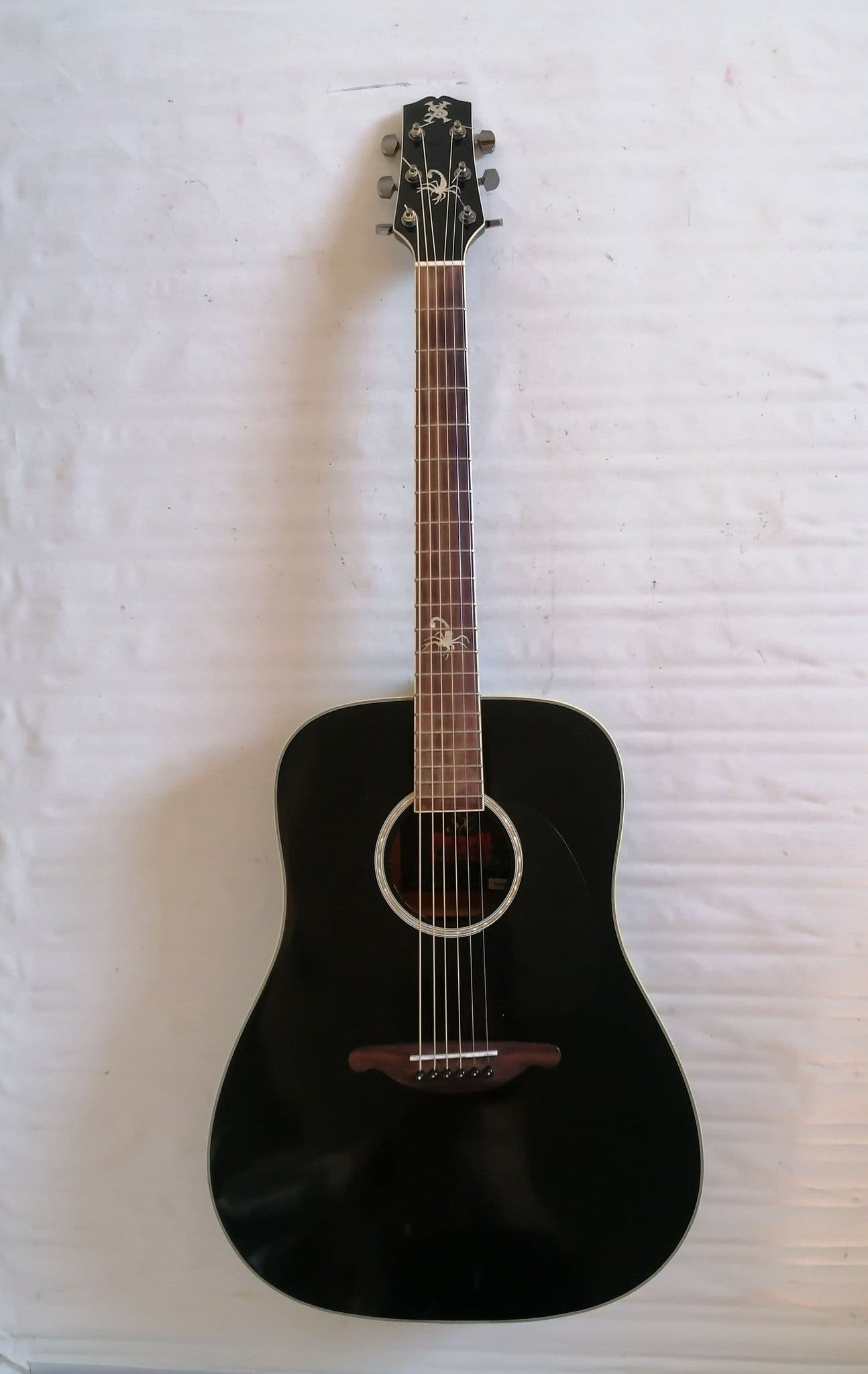 Costom made, SX, Poison, Akustik Guitar