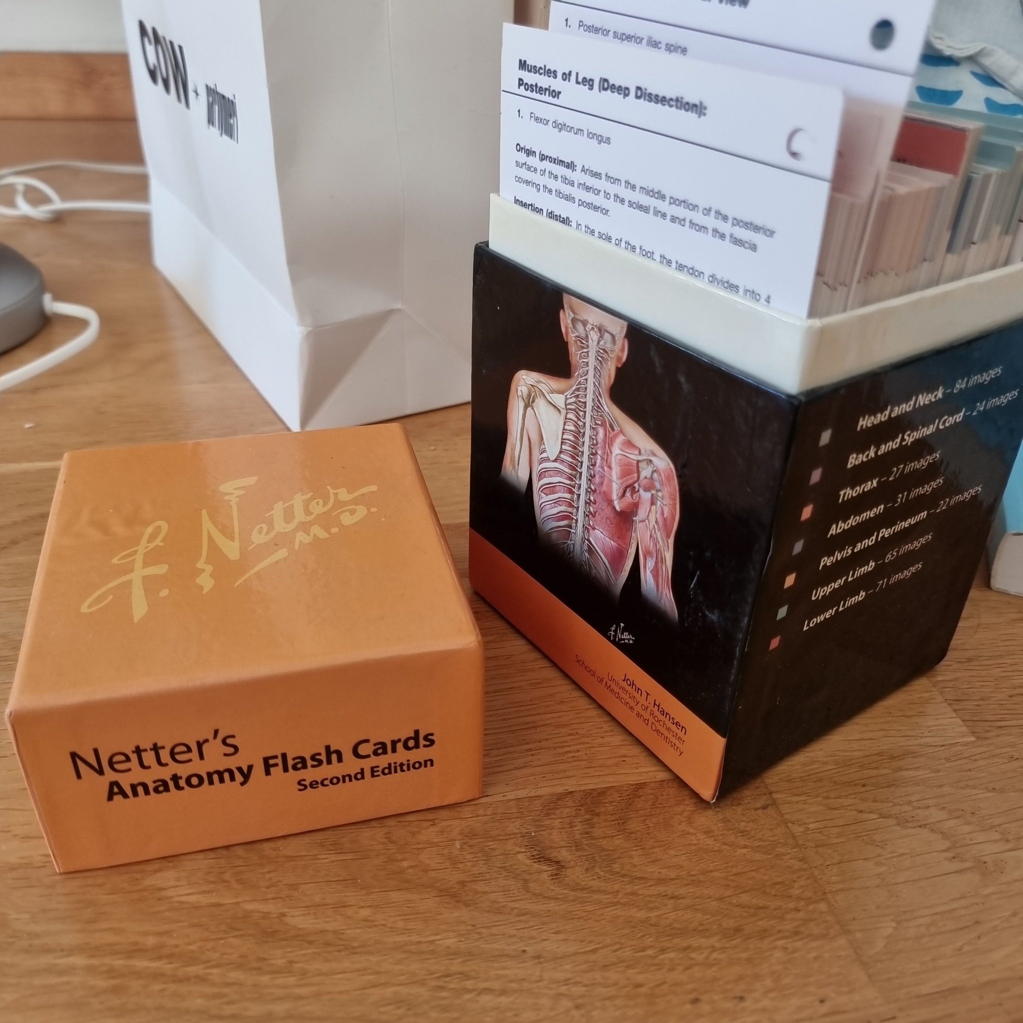 Netter anatomy flash cards Köp på Tradera (601027192)