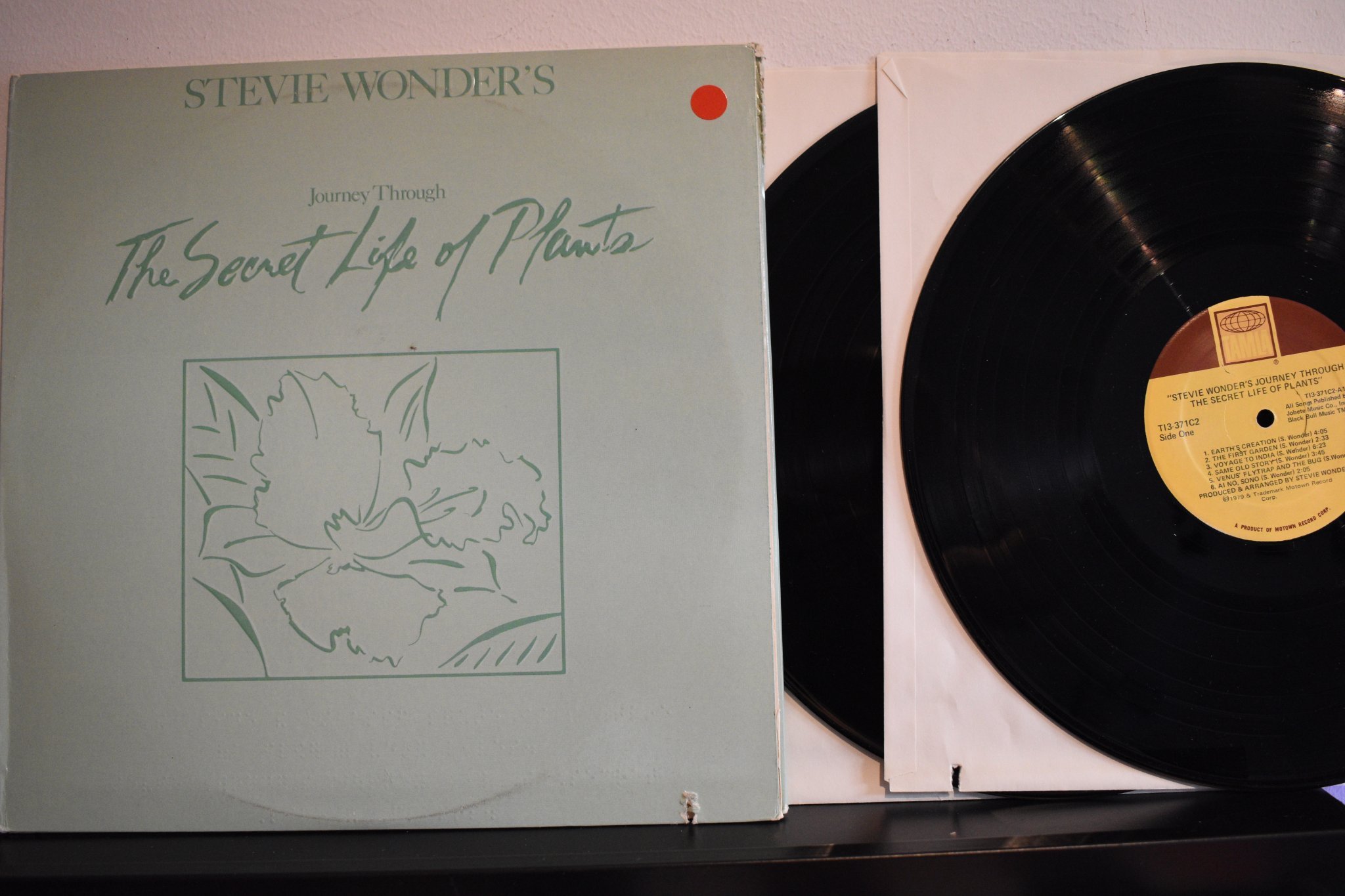 STEVIE WONDER JOURNEY THROUGH THE SECRET LIFE