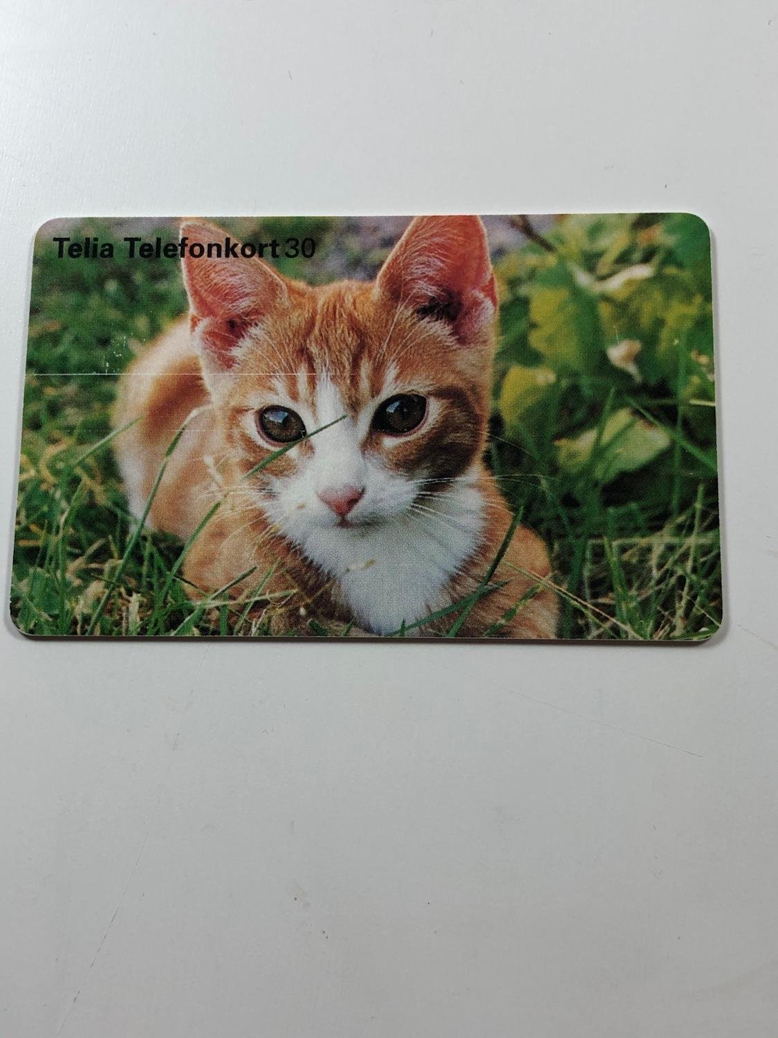 Telia telefonkort - Serien telefonkortsbilden Katt - Från 1998 - 30  markeringar