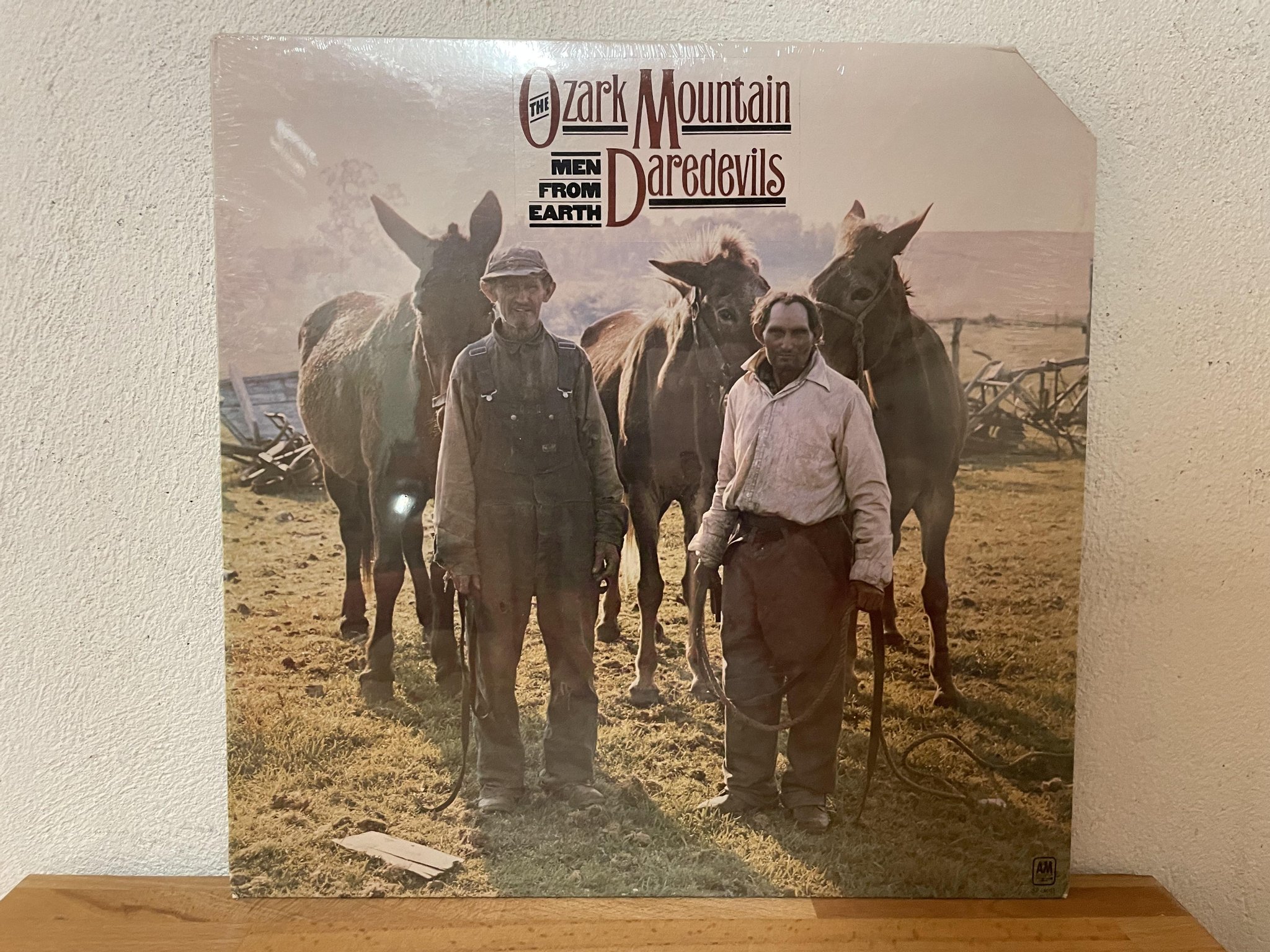 Se produkter som liknar THE OZARK MOUNTAIN DAREDEVILS.. på Tradera