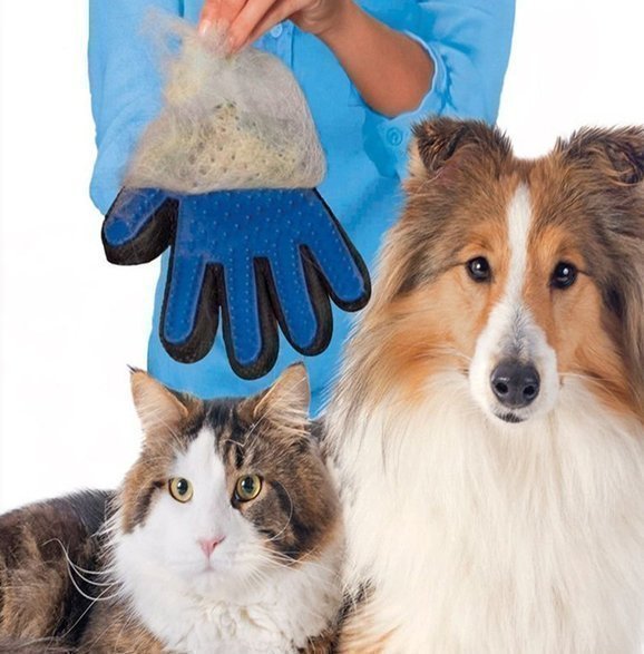 True Touch Borsthandske Hund Katt Höger h.. (407243362) ᐈ Köp på