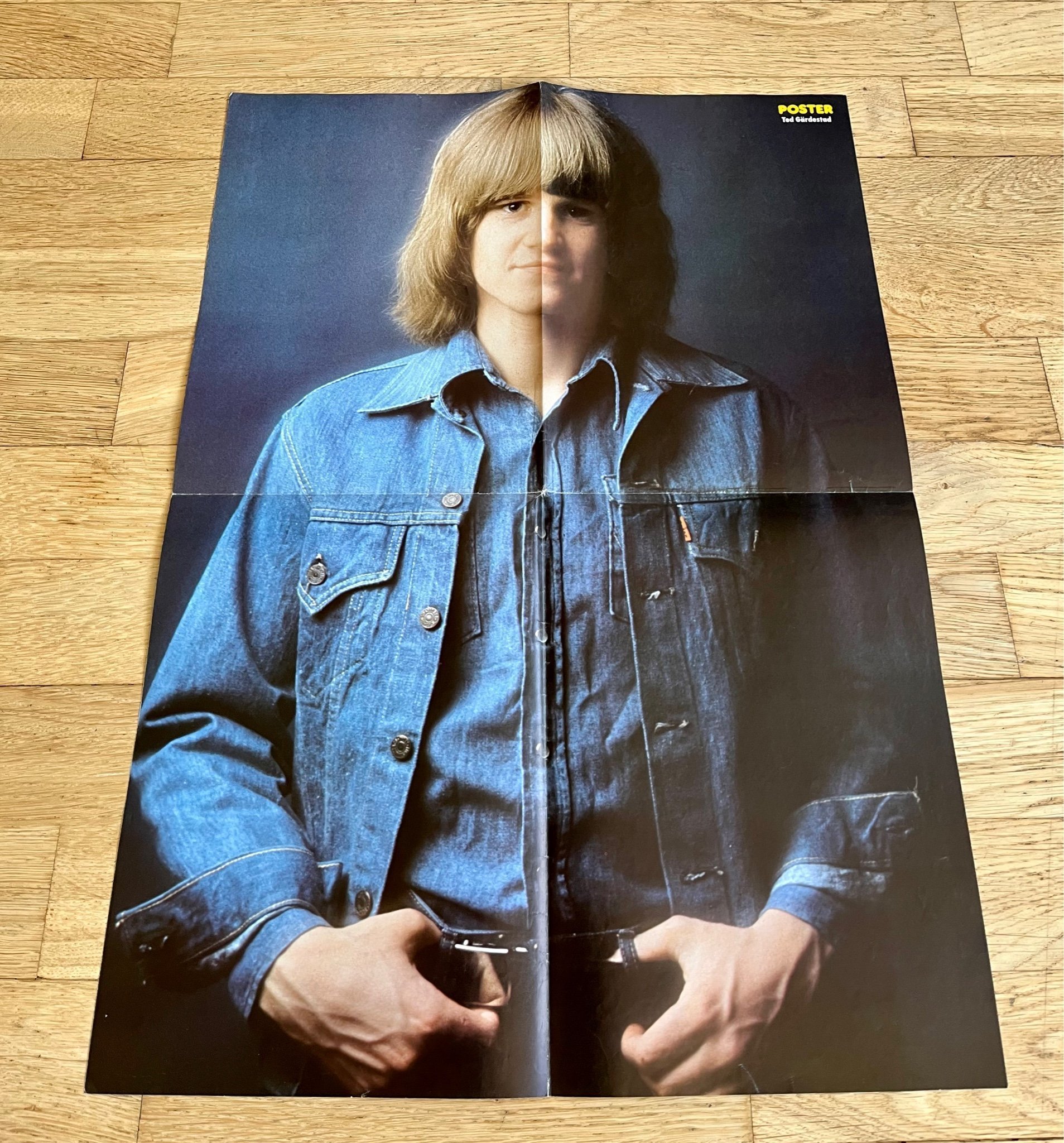 TED GÄRDESTAD 1976 affisch Poster tidningen 197.. Köp på Tradera