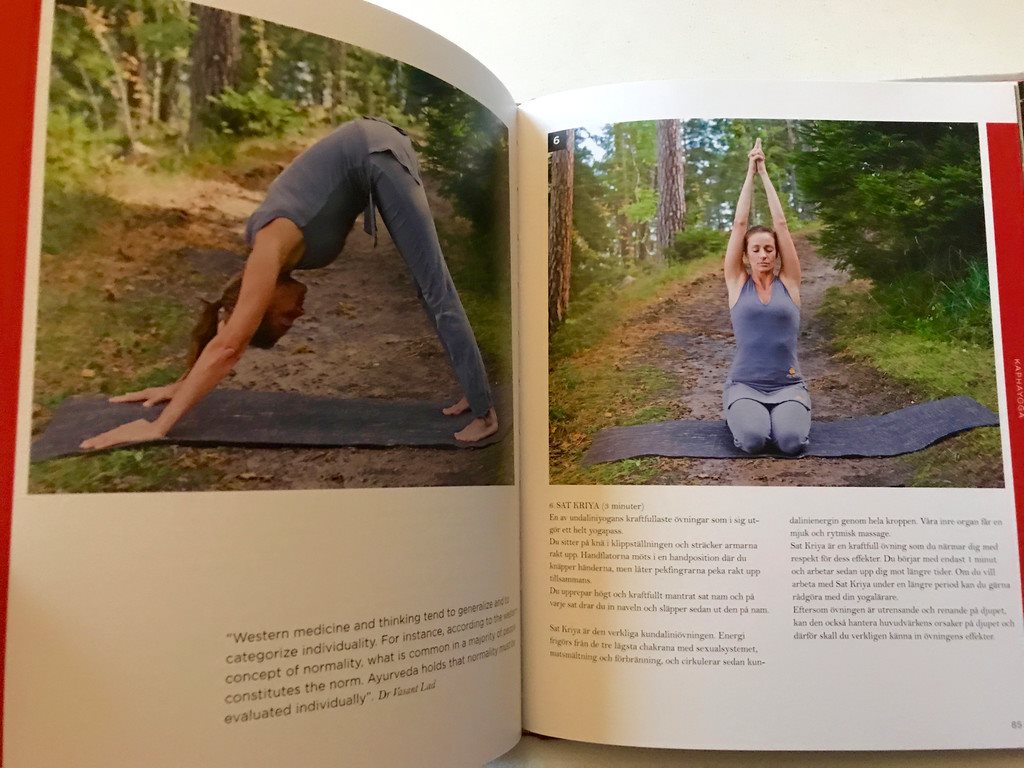 MIGRÄNYOGA Bli fri från huvudvärk med yoga och ayurveda ayurveda ayurveda Per Söder 2017 b29441 MIGRÄNYOGA Bli fri från huvudvärk med yoga och ayurveda ayurveda ayurveda Per Söder 2017 b29441