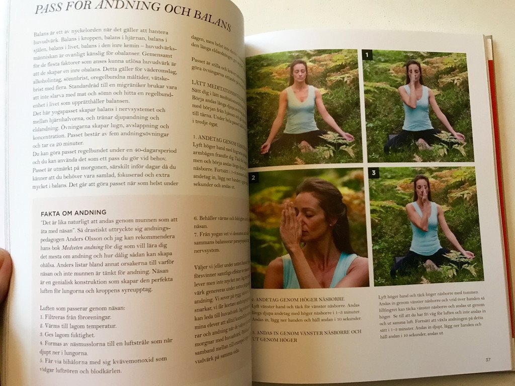 MIGRÄNYOGA Bli fri från huvudvärk med yoga och ayurveda ayurveda ayurveda Per Söder 2017 b29441 MIGRÄNYOGA Bli fri från huvudvärk med yoga och ayurveda ayurveda ayurveda Per Söder 2017 b29441