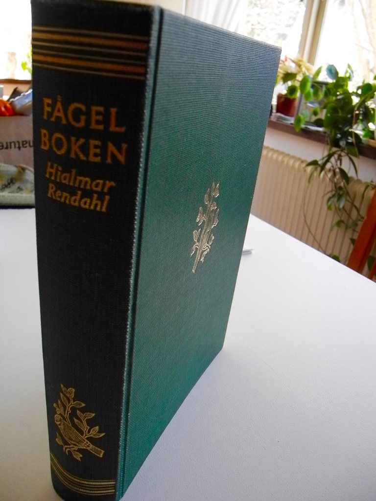 FÅGELBOKEN Sveriges fåglar fåglar fåglar i ord och bild Hjalmar Rendahl 1957 05be3e FÅGELBOKEN Sveriges fåglar fåglar fåglar i ord och bild Hjalmar Rendahl 1957 05be3e