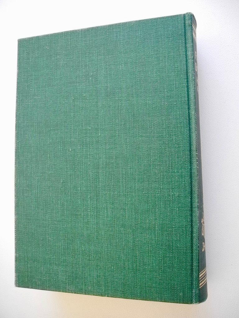 FÅGELBOKEN Sveriges fåglar fåglar fåglar i ord och bild Hjalmar Rendahl 1957 05be3e FÅGELBOKEN Sveriges fåglar fåglar fåglar i ord och bild Hjalmar Rendahl 1957 05be3e