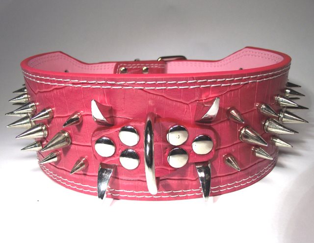 Hund halsband 3" mörk rosa med nitar 44.. (277925019) ᐈ Inkbuddy på Tradera