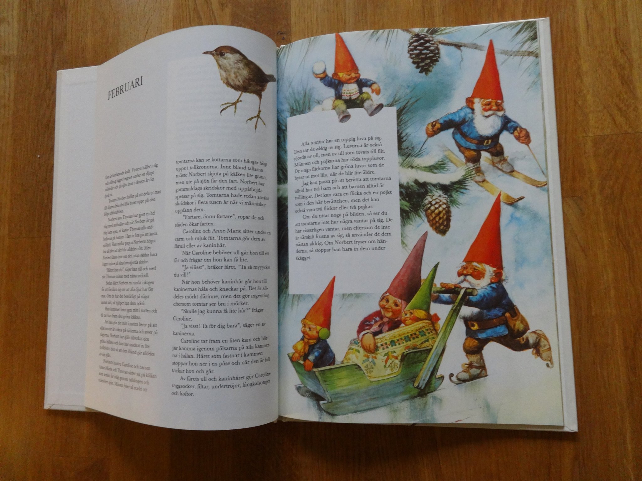 I tomtarnas värld. Wil Huygen och Rien Poortvli.. Köp på Tradera