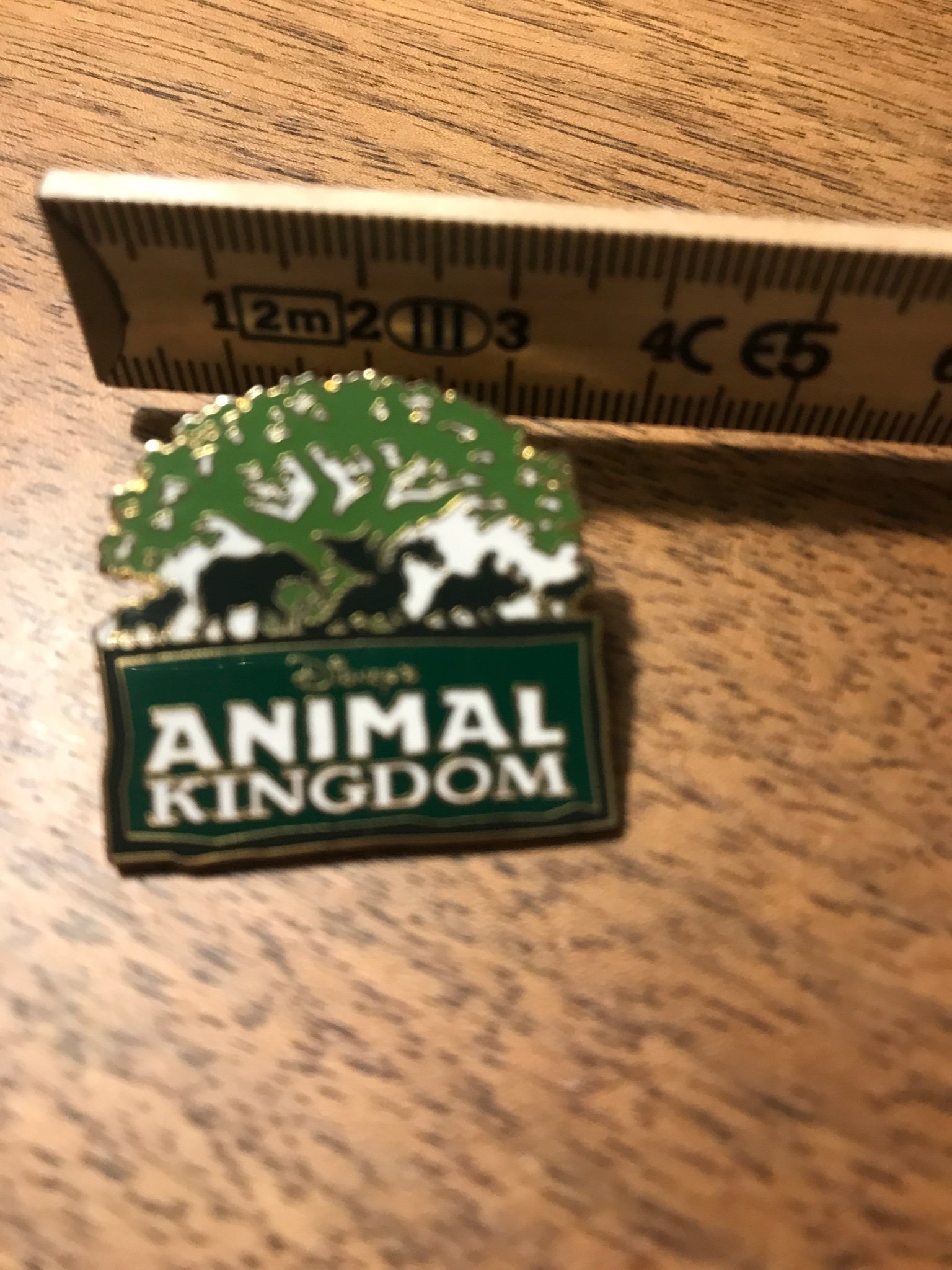 Disney Animal Kingdom Pin . Disney theme park c.. (433765004) ᐈ Köp på