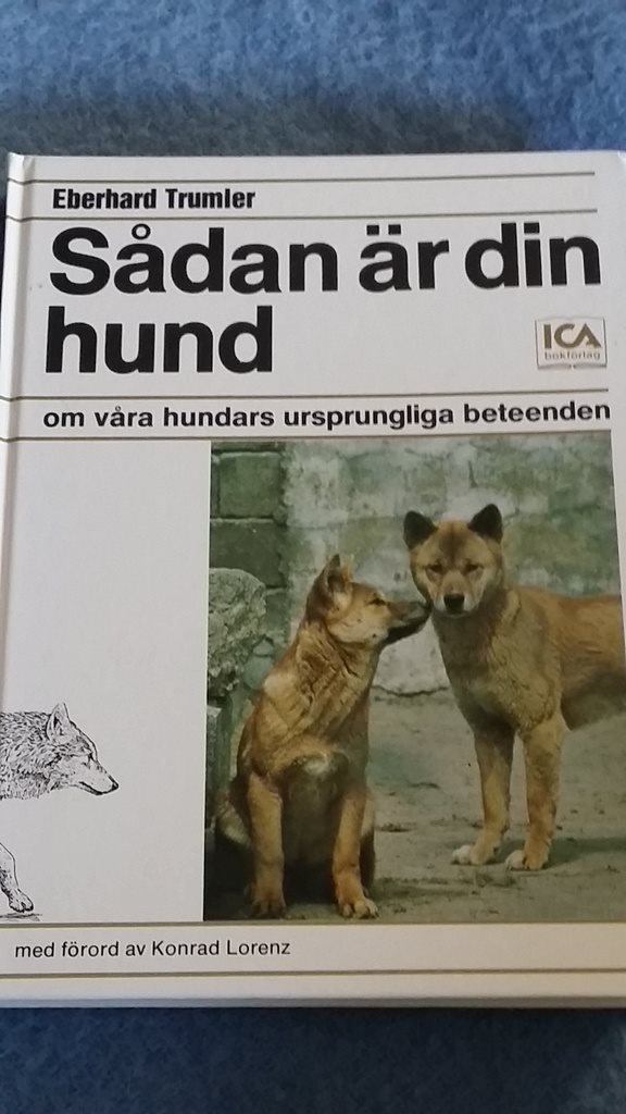 bok Hund Sådan Sådan Sådan är din hund c13192 bok Hund Sådan Sådan Sådan är din hund c13192