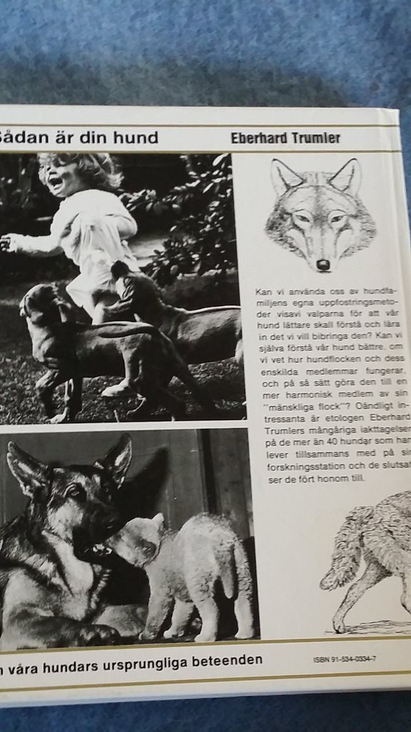bok Hund Sådan Sådan Sådan är din hund c13192 bok Hund Sådan Sådan Sådan är din hund c13192