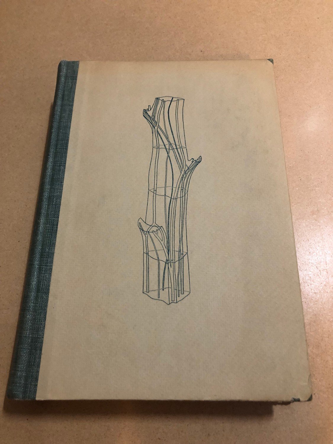 Lärobok i växtfysiolo.. | Köp från TrollhättansBokMedia på Tradera ...