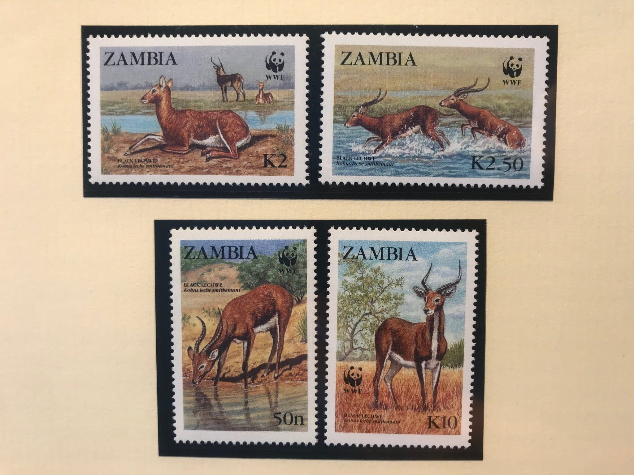 WWF Zambia 1987 Set of 4 MNH Black Lechwe | Köp på Tradera (732845881)